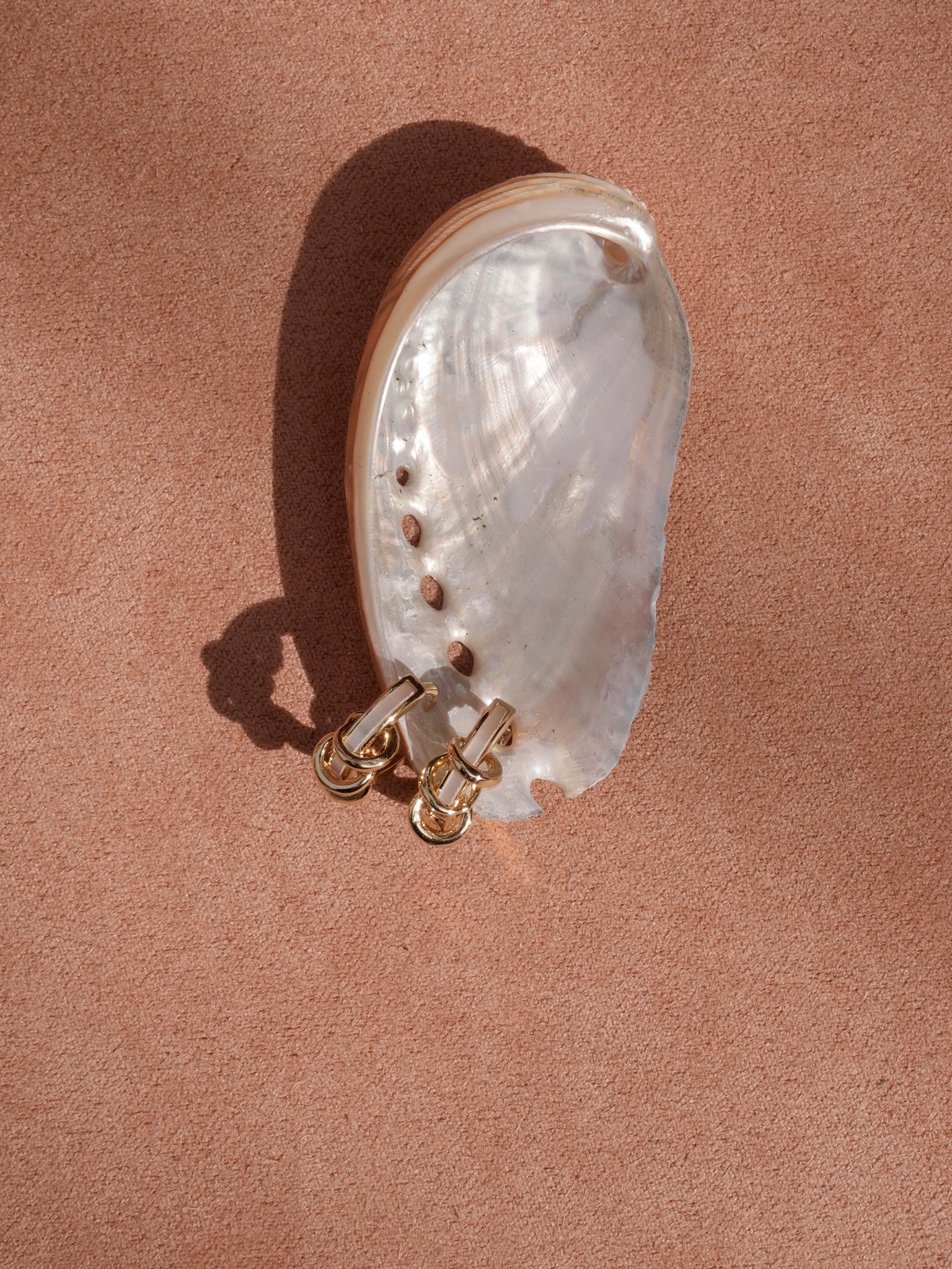 Collection Image