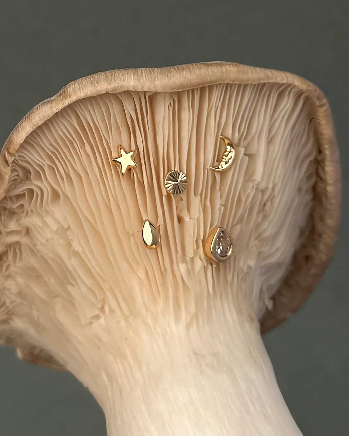 Mod + Jo Celestial Studs Set featuring five gold earrings—a star, sunburst, crescent moon, teardrop, and crystal-set teardrop—arranged on the underside of a mushroom cap.